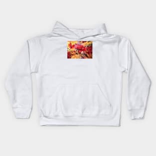 Flowers from the secret garden Kids Hoodie